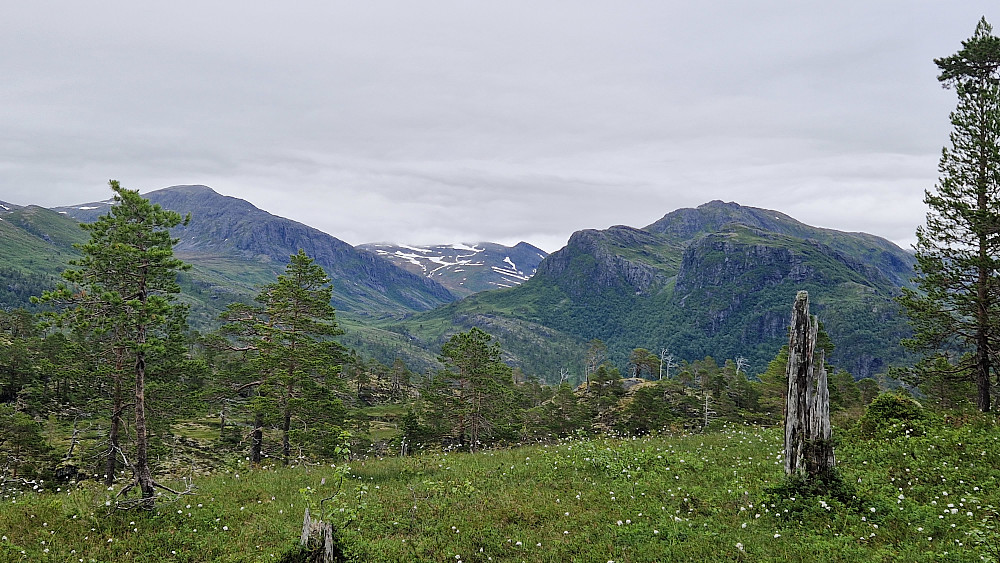 Naustådalen.