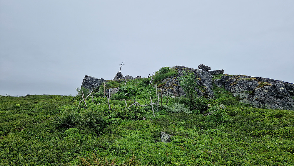 Hobbithagen under Storfjellet.