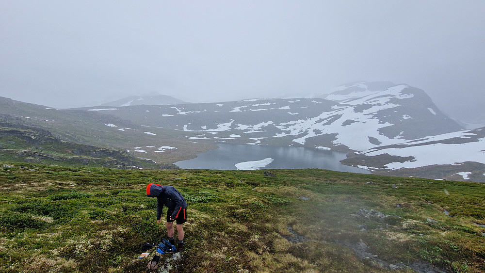 Grinaren i skodde.