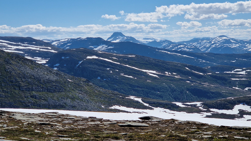 Neådalssnota.