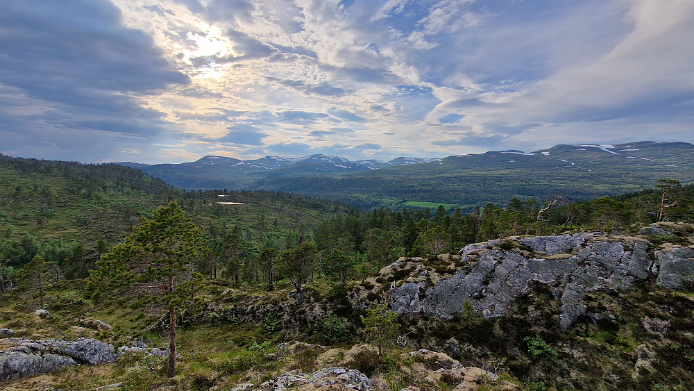 Fin terreng å gå i. Bøverdalsfjell på motsatt side.