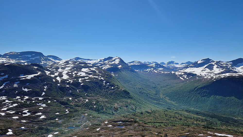 Innover Kvenndalen.