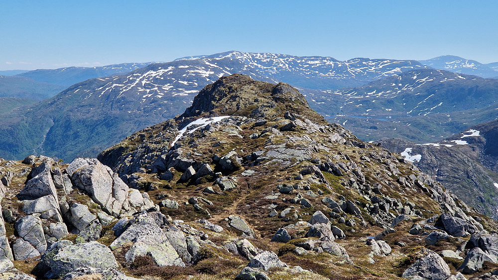 Fin rygg.