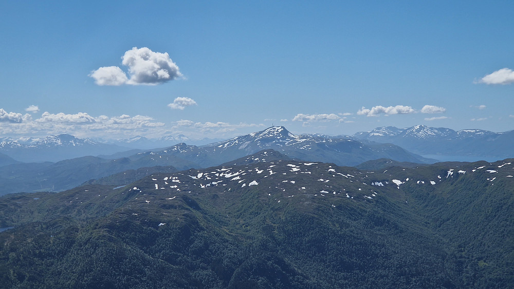 Reinsfjellet.