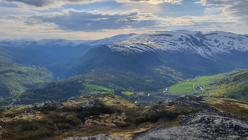 Lønset. Sæterhaugen nærmest og Sæthøa bak.