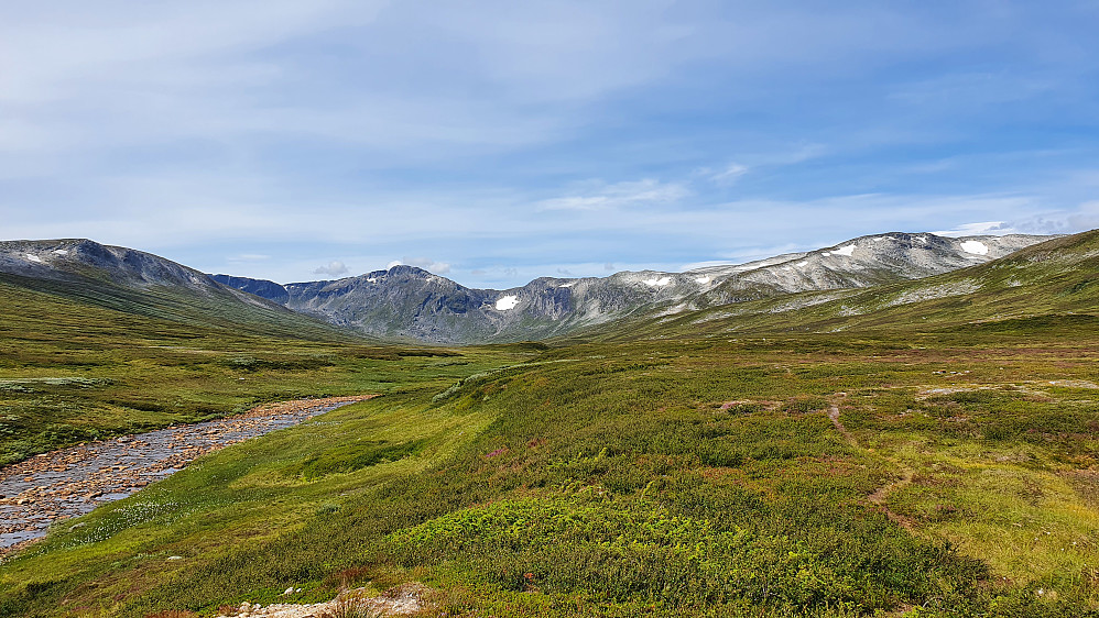 Minnildalsglupen.