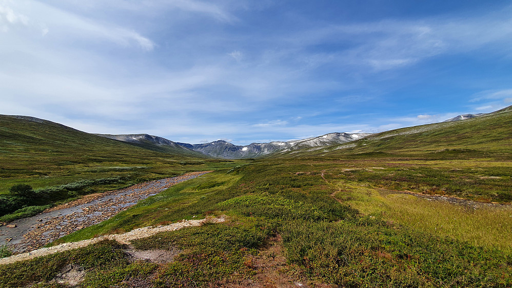 Minnildalsglupen.