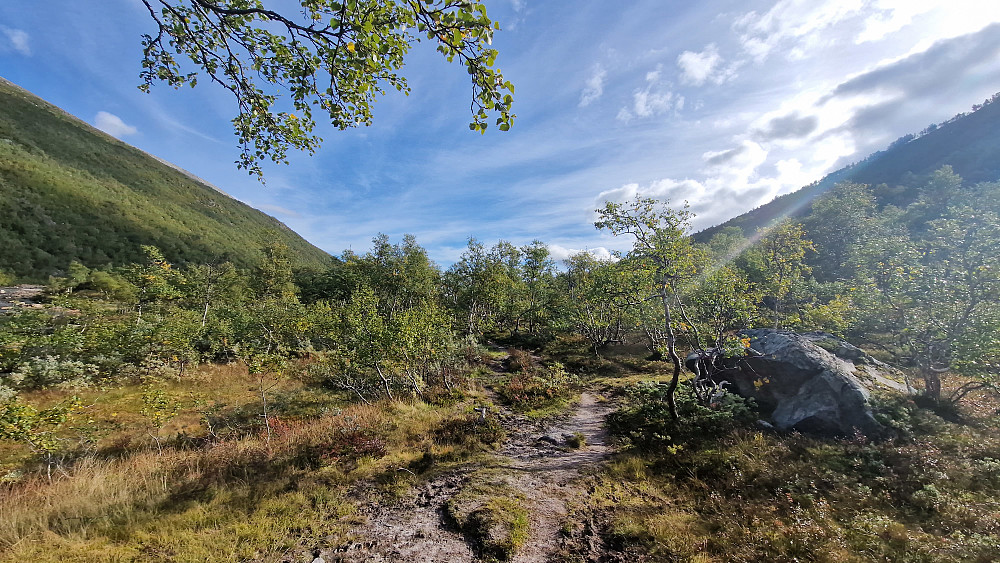 Her begynner vi å kjenne det. Tror bakken ned fra Mellomfjellet skal ha mye av skylda.