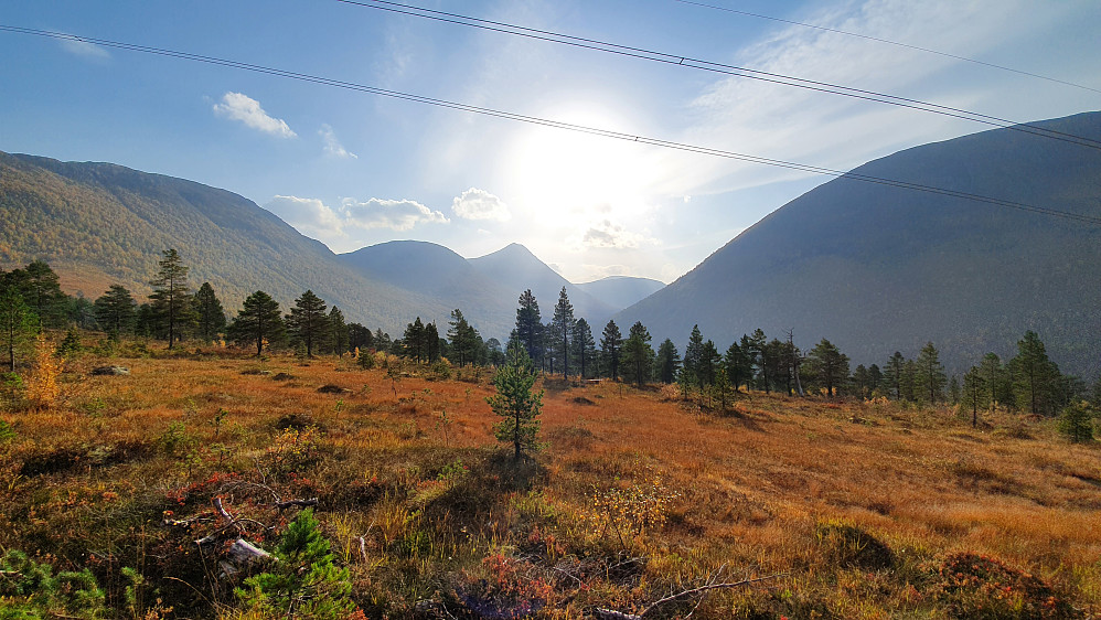 Flotte omgivelser på vei opp bilveien til hyttene i Kvenndalen. 