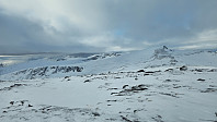 kennwarm_20250212_67acc8ca8b439.jpg