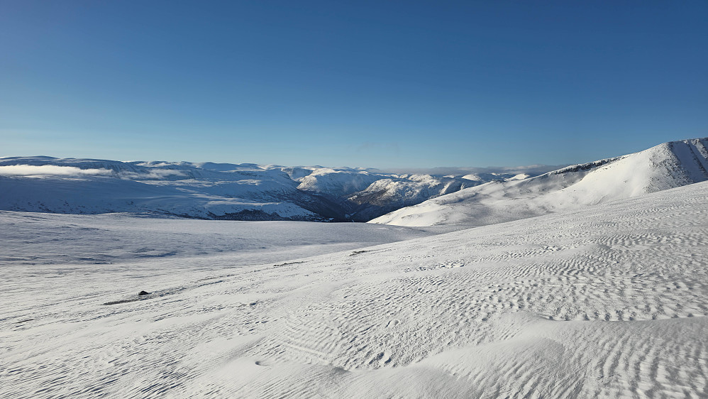 Slakt nedover Nyhusflatfjellet.