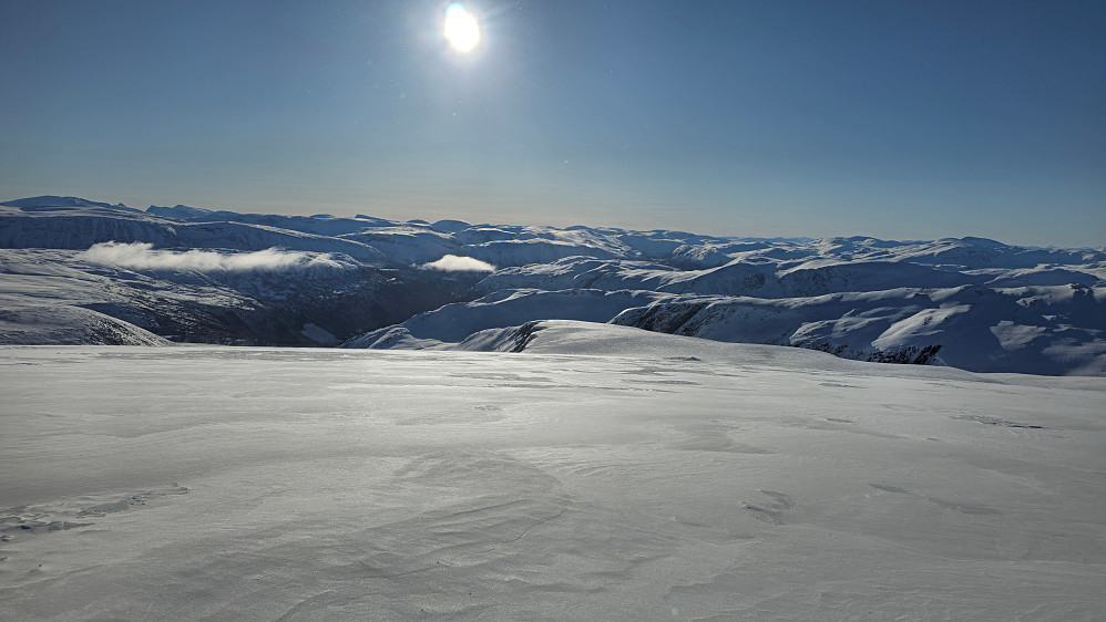 Valgte å ta ruta ned rett sør langs Kråkvasshalsen. Burde tatt til venstre ned mot vannet, men fulgte ryggen hele veien.