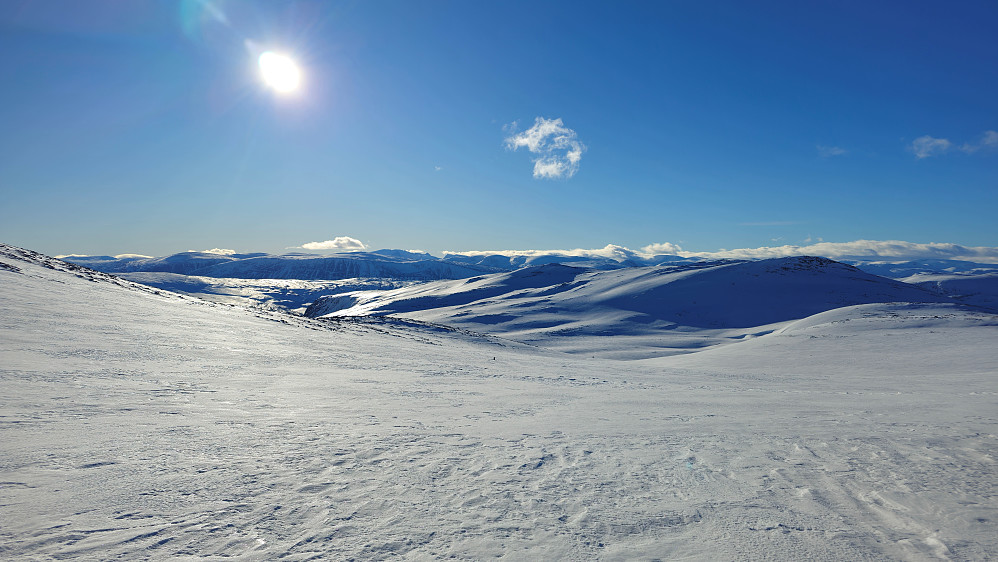 Tilbakeblikk mot Svartdalskollen.