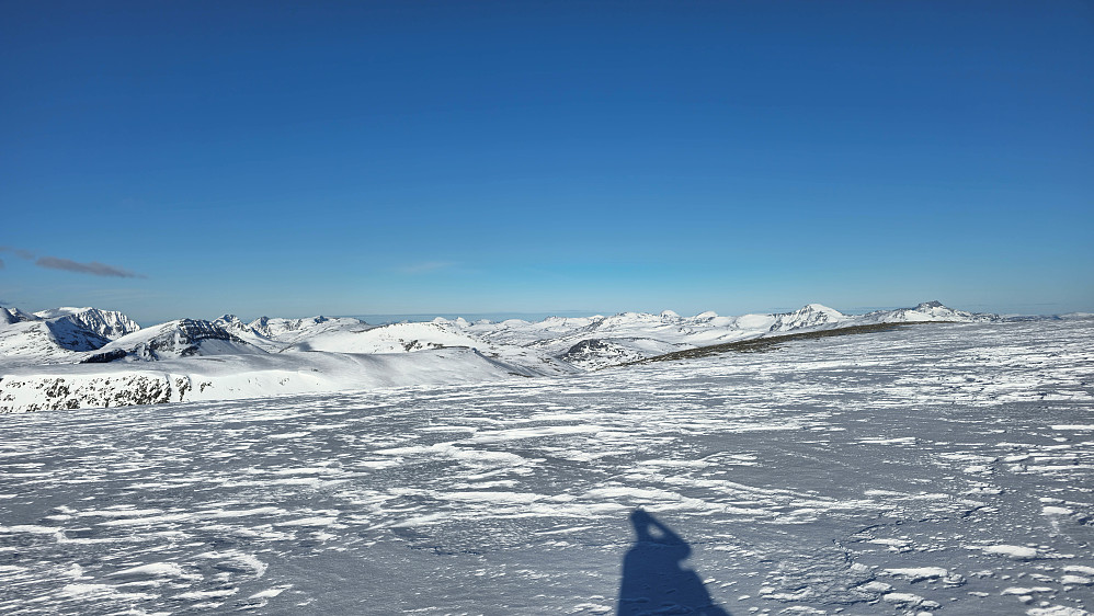Vestover fra Svartdalskollen.