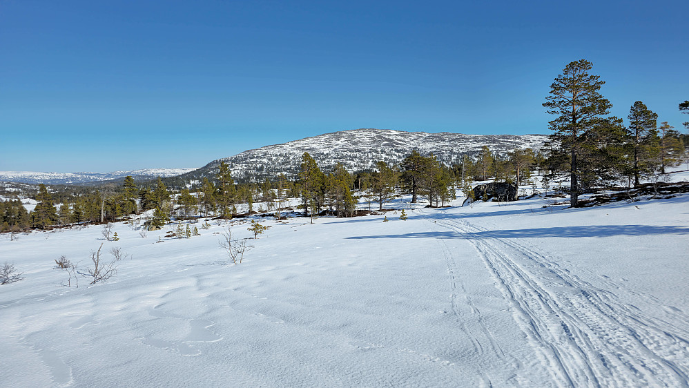 Kunne skli langt på skaren tilbake i retning Helgetunsetra. Ble bare noen hundre meter med stavtak.
