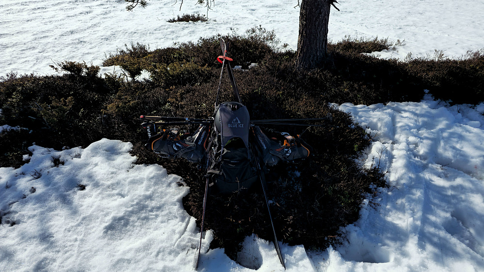 Skifte tilbake til langrenn. 