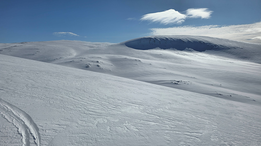 Så sporene til gjengen jeg møtte på Vassendsetra opp mot Indre Gjevilvasskamb.