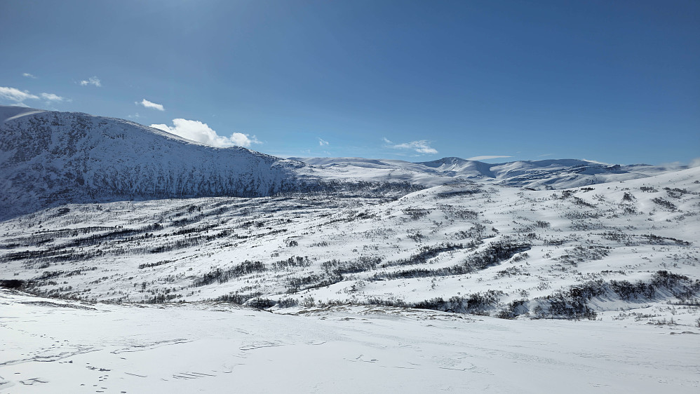 Godt å snart være nede ved Vassendsetra. Ikke godt å tenke på nye 6 km tilbake til Bårdsgarden.