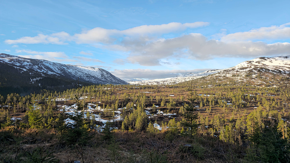 Ankomst Folldalen klokka 7.