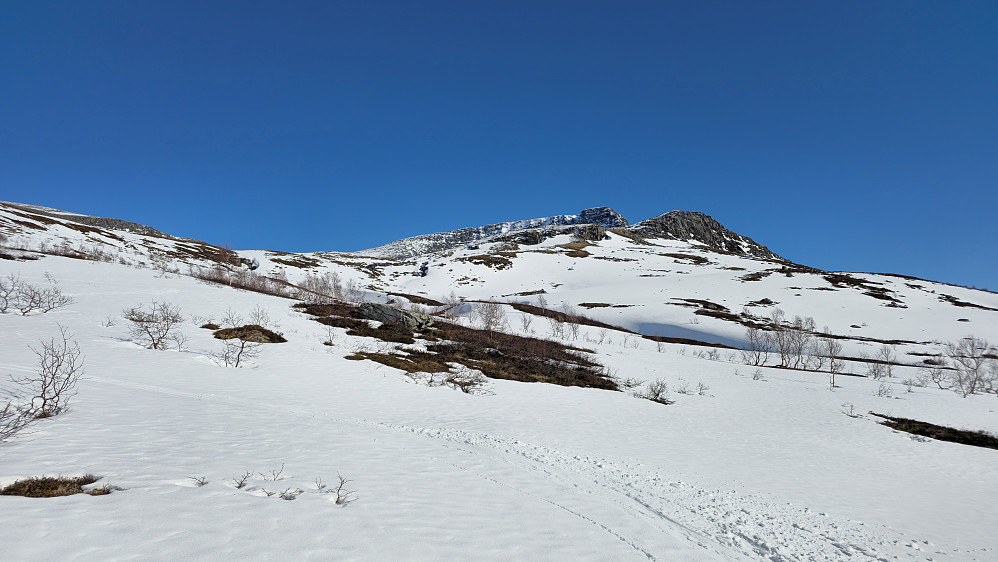 Snøen blir mer råtten ned mot skogen.