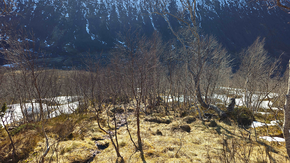 Varierende snøforhold gjør det vanskelig å finne stien. Får ta sjansen ned her.