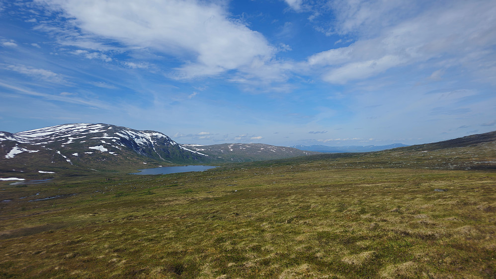 Fine omgivelser. Ser nordover.