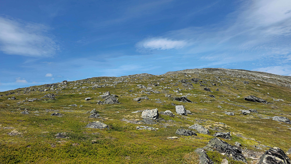 På vei opp ryggen.