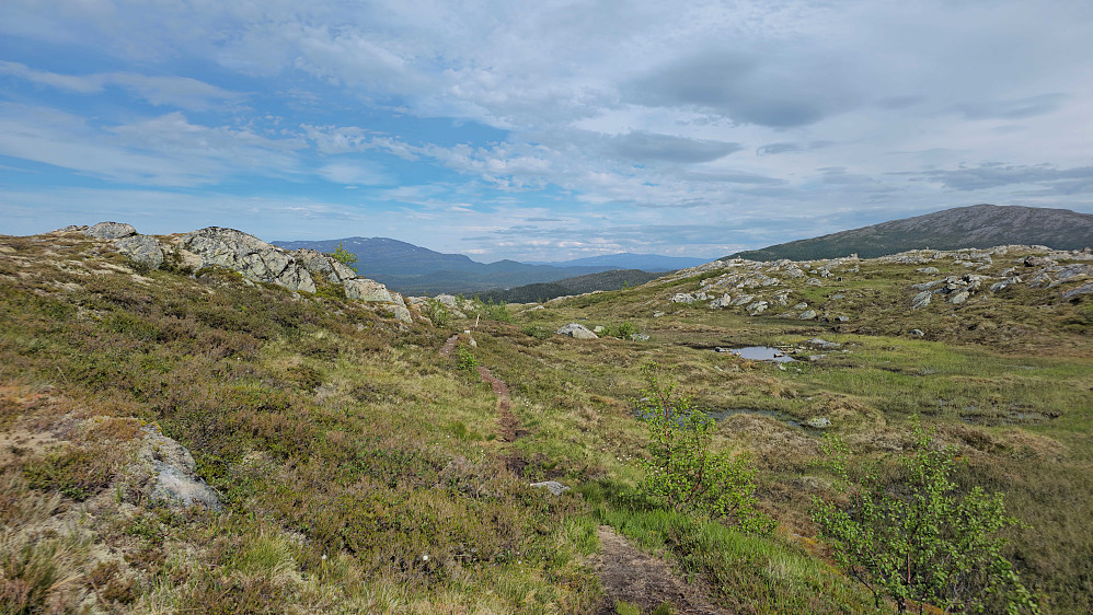Inne på stien igjen.