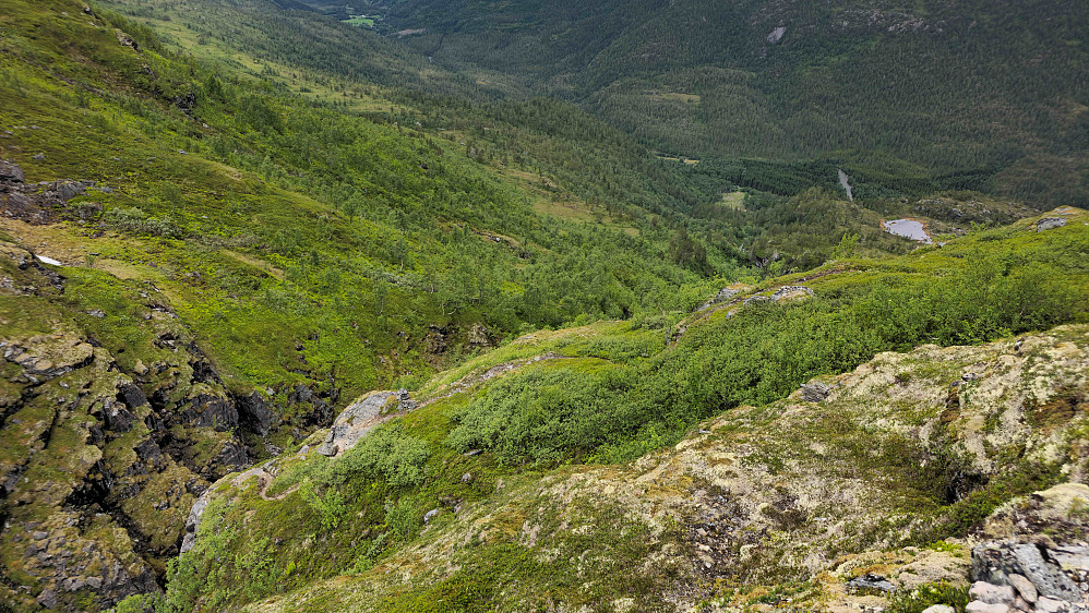 Bratt rett under Storfjellet. Fortsatt et stykke ned til veien på småmøre bein.