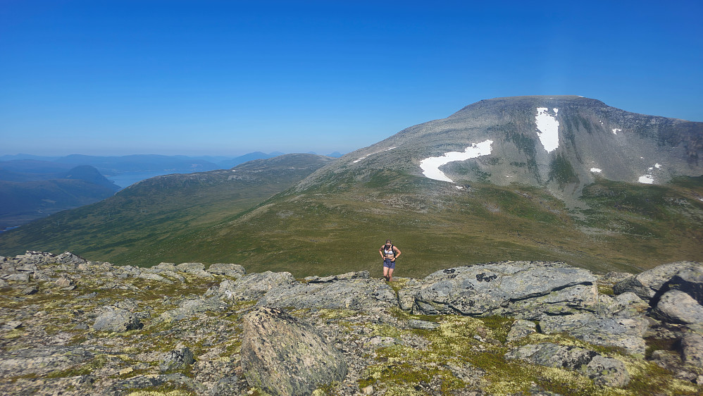 Grånebba / Vassnebba på motsatt side.