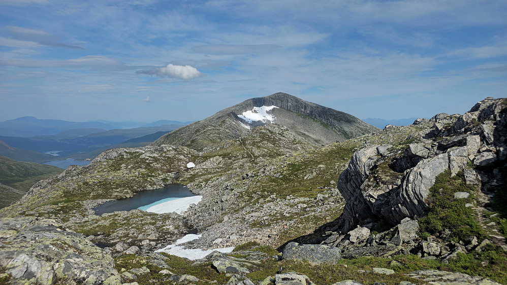 Smisetnebba.