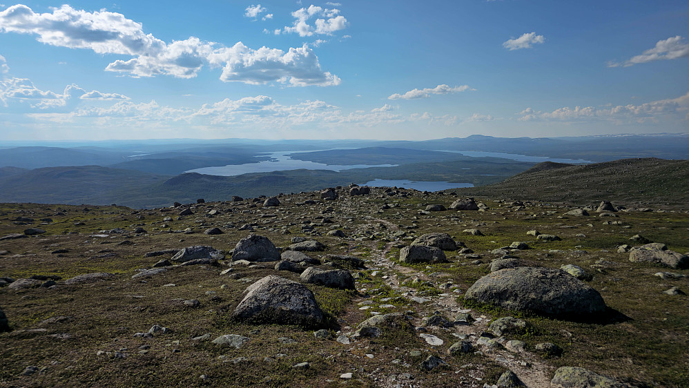 Flott turterreng.