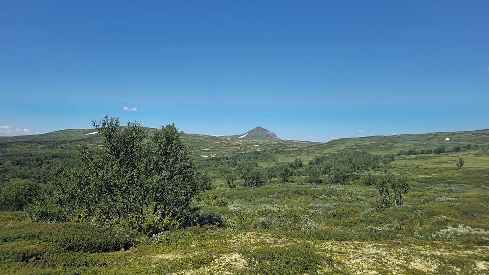 Forollhogna sett fra Pilgrimsleia.