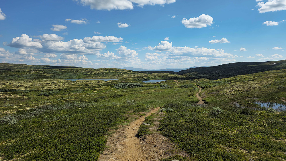 Slakt nedover mot Vangrøftdalen.
