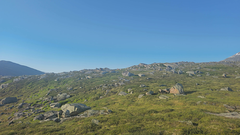 To hjort / rådyr løpende oppe på Stygglifjellet.