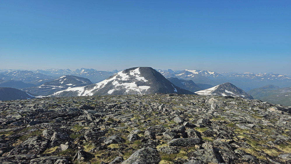 Litlnebba, Rognnebba og Botnnebba.