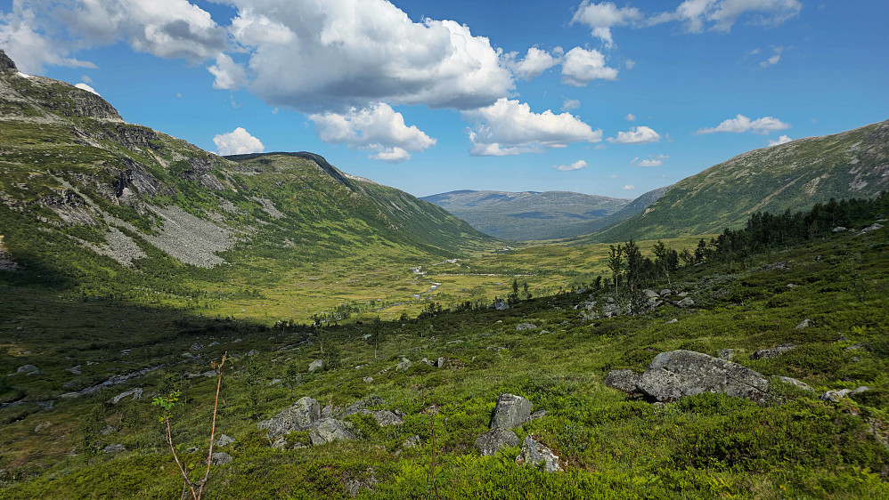 Nedre del av Fagerlidalen.