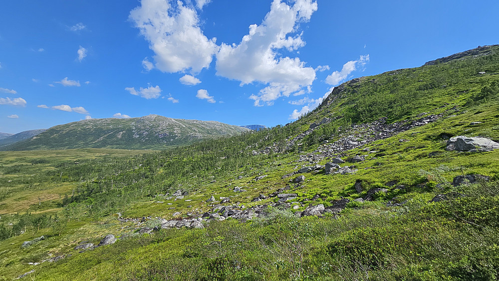 I retning Vassdalsfjellet.