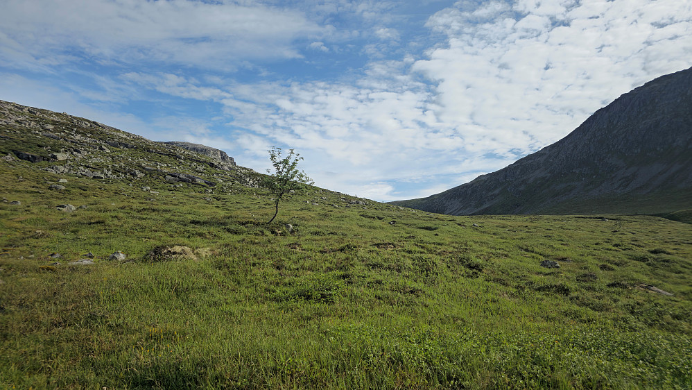 Tverråtela.