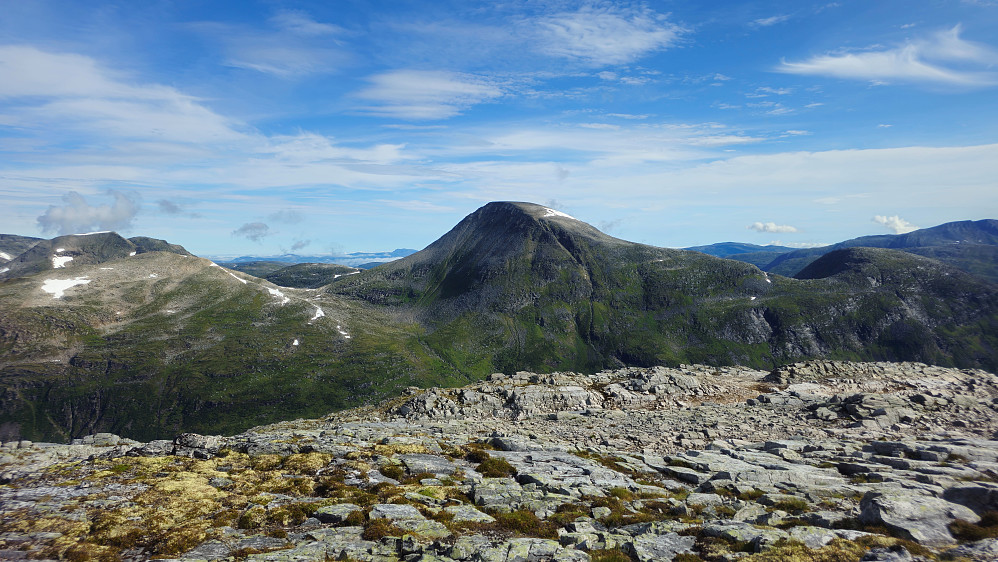 Botnnebba, Rognnebba og Litlnebba.