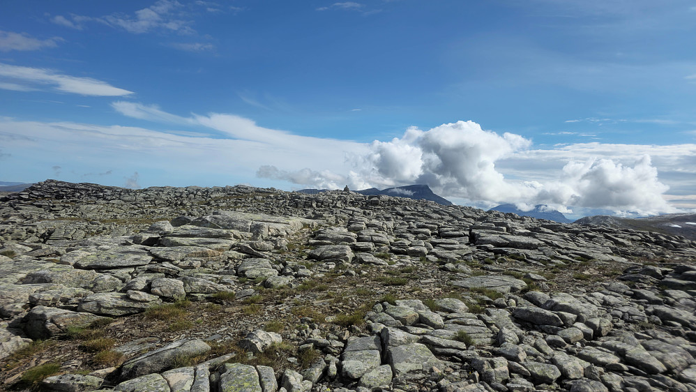 Oppe på Tverråbotnfjellet.