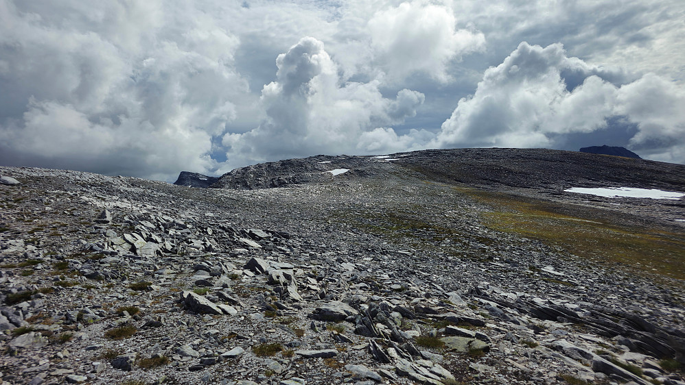 Strankåbotnfjellet med Salen til venstre og Neådalssnota til høyre.