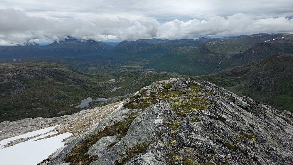 Ser østover fra Salen SØ.