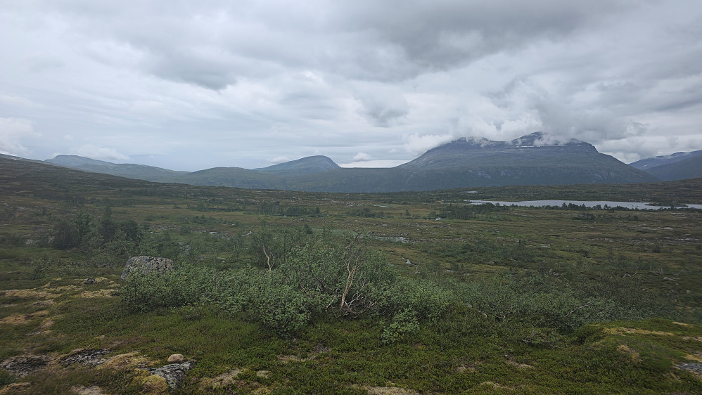 Myr og kratt på vei mot stien til/fra Trollheimshytta.