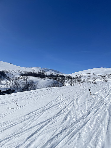 Skispor langs Sandåa