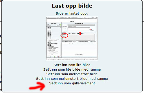 Hvis bildet skal være en del av et galleri, velg alltid "Sett inn som gallerielement" ved endt opplasting.