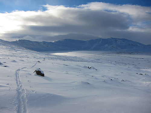 Skispor oppover lia fra Øyangen på snaut 1300 moh.