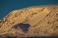 mortenh_20101204017.jpg