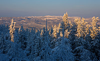Oppe i lia mot toppen med utsikt i retning Bjørgovarden.