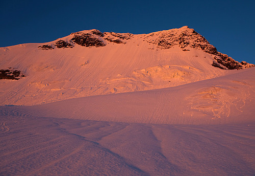 Gjertvassbreen bølger seg glødende og morgenfresh ned mot oss mens Styggedalstindane lokker høyt der oppe.